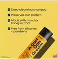 Matrix A curl can Dream Shampoo